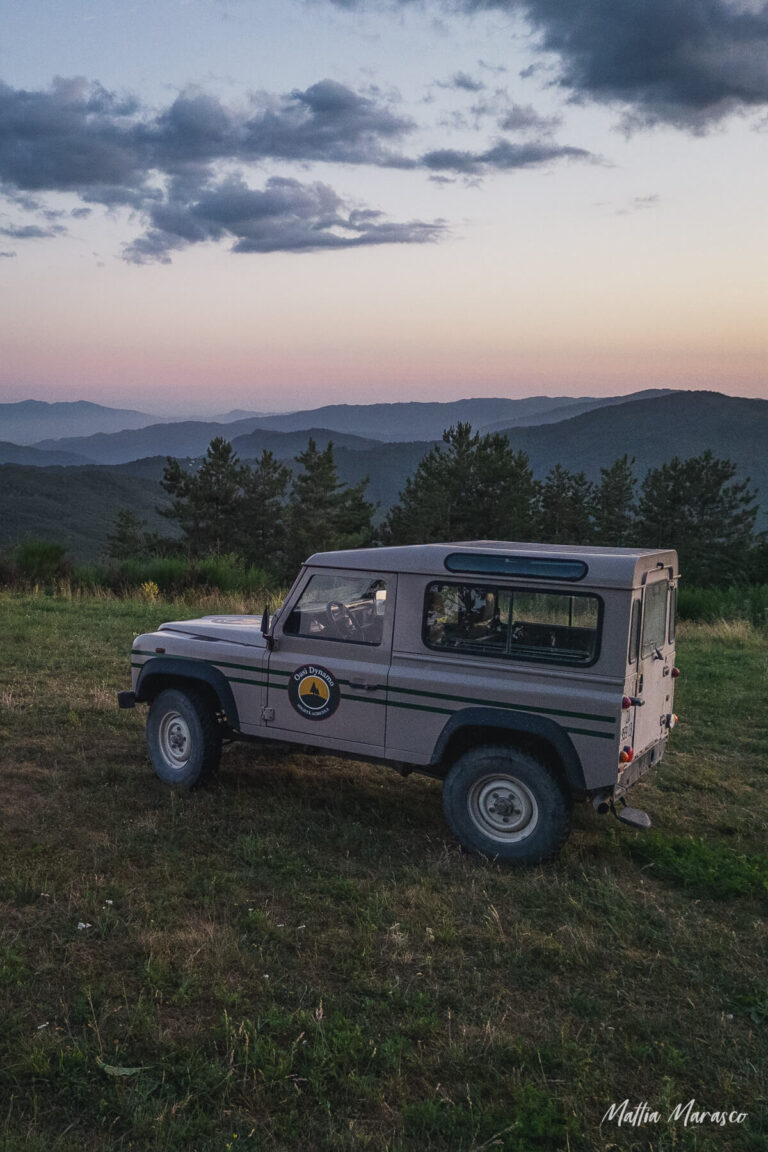 ©mattia-marasco-allrightsreserved-0152