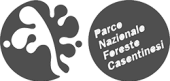 logo-parco-delle-foreste-casentinesi-grigio